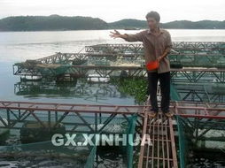 横县水产养殖业蓬勃发展，畜牧渔业饲料行业迎来新机遇