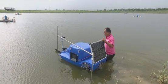 全自动智能投放饲料设备 开启畜牧渔业养殖新篇章