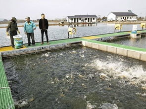 鱼跃“跑道”焕新生 水乡兴起循环养殖，传统渔业驶入升级快车道