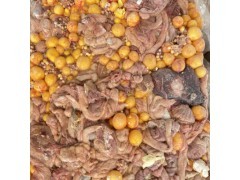 农业产业链全景 从田间地头到畜牧渔业的协同发展