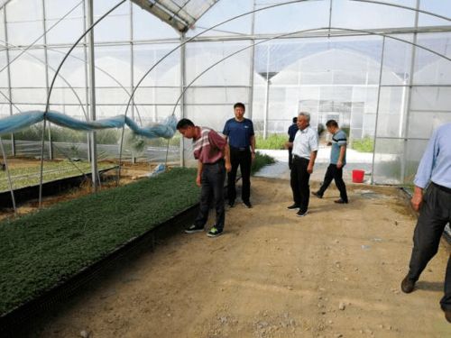 肥东县农牧渔业免费咨询电话服务指南