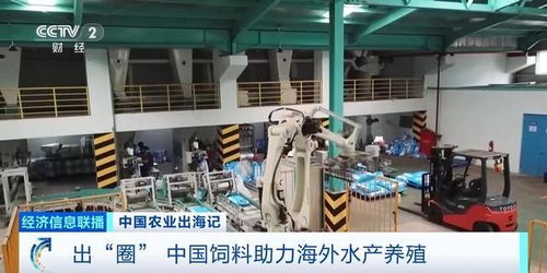 油菜籽扎根巴基斯坦，饲料游进越南虾塘 中国农业这样出海