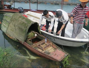 市畜牧兽医水产局开展渔政联合执法巡查，严防畜牧渔业饲料安全隐患
