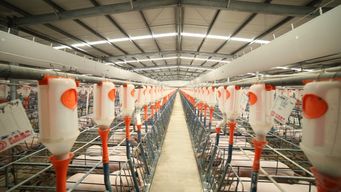 复产集结号吹响 齐心协力保卫养猪业，保障饲料供应稳定