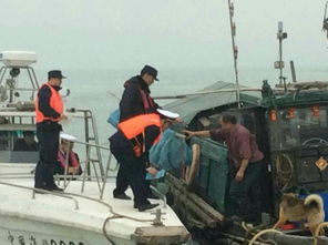 南沙区畜牧渔业饲料产业的现代化发展与管理